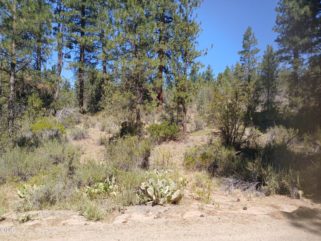 0 Oriole Drive - Photo 1
