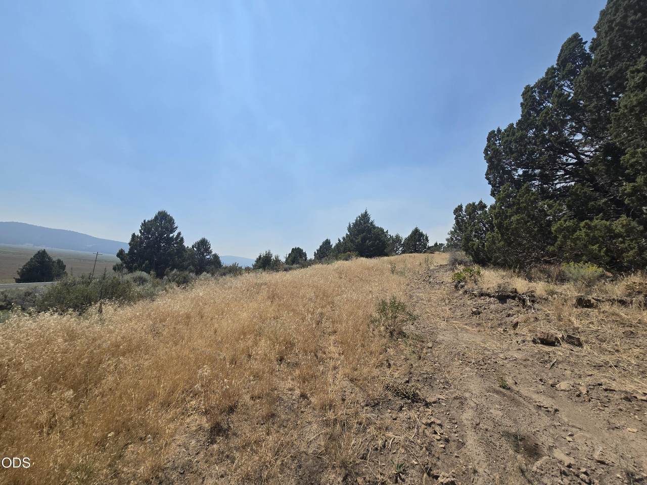  Drews Road - Photo 1