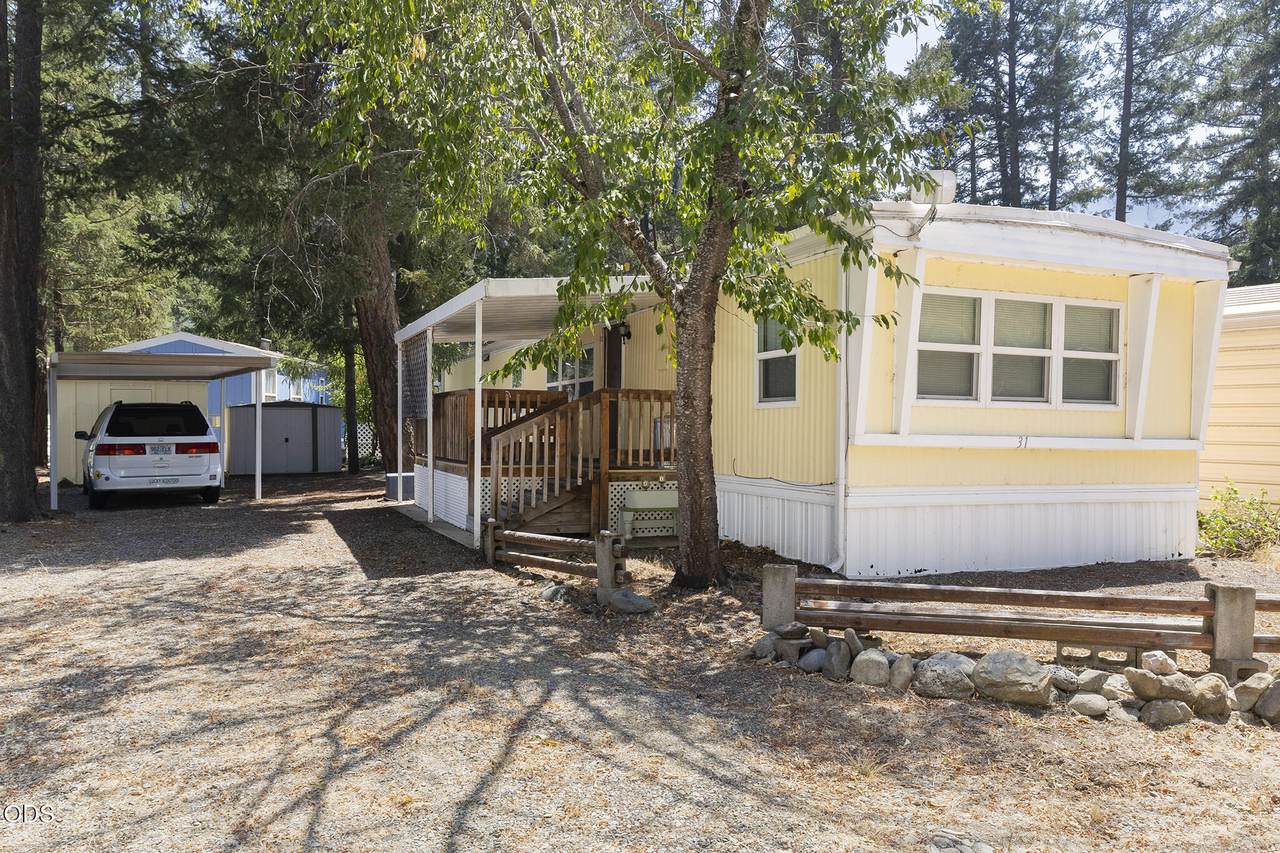 537 Thompson Creek Road - Photo 1