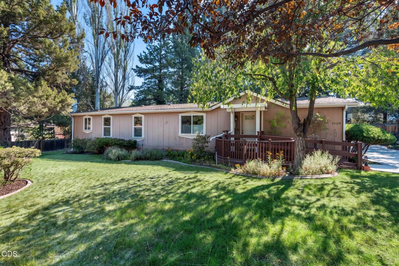 1028 Black Ridge Place - Photo 1