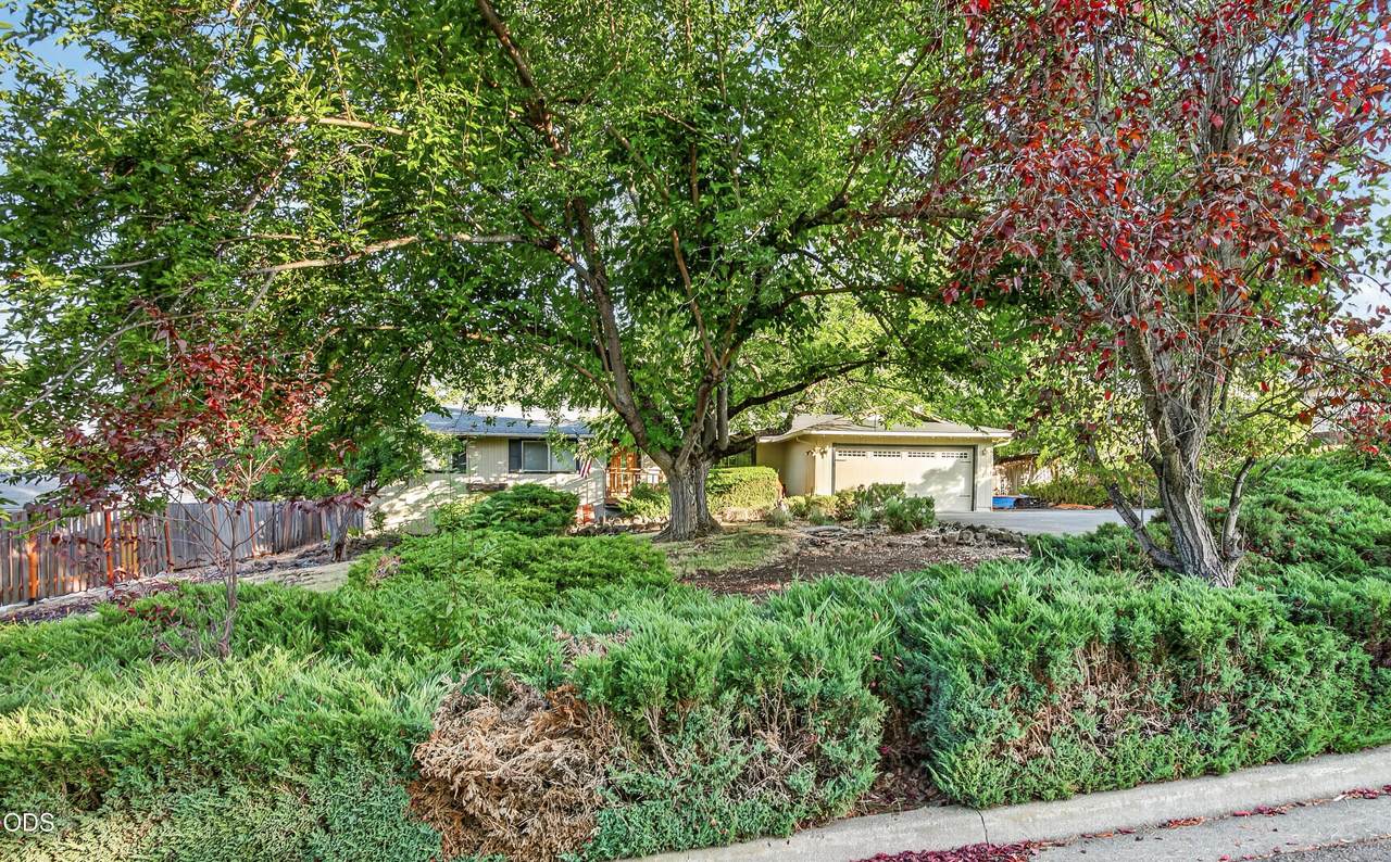 1537 Moon Terrace - Photo 1