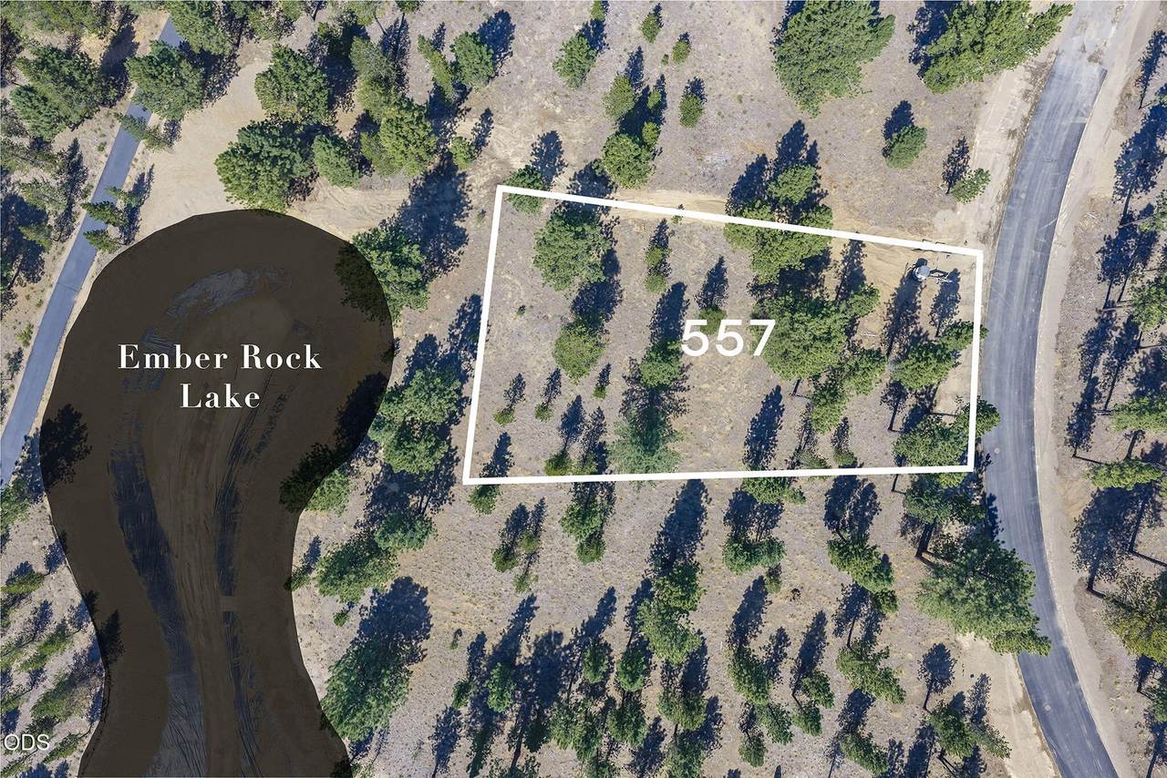 56686 Red Bark Lane - Photo 1