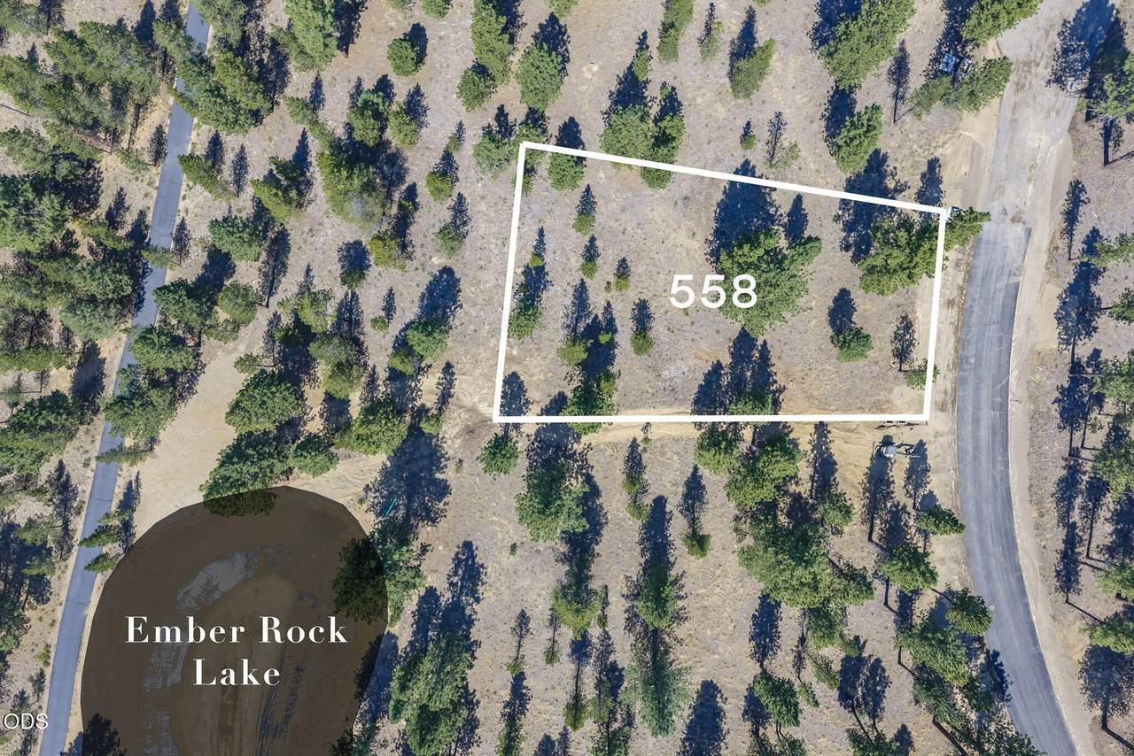 56694 Red Bark Lane - Photo 1