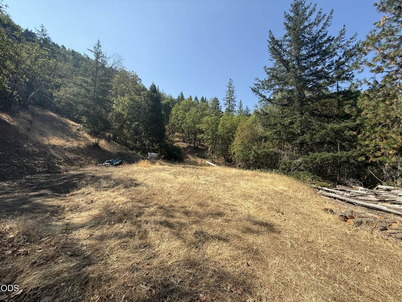 00 Savage Creek Road - Photo 1