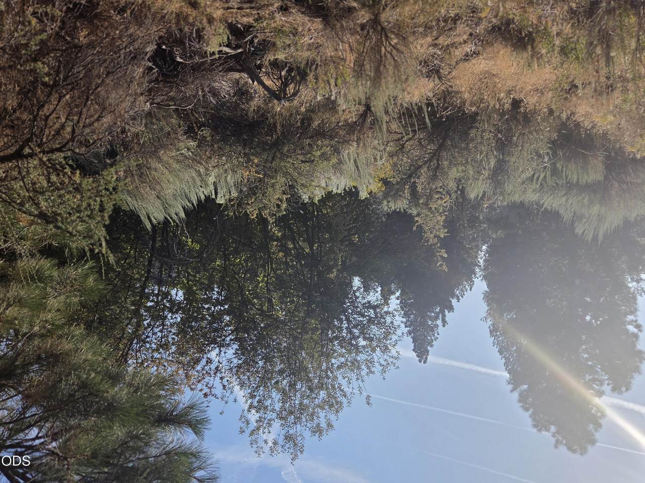 0 Palouse Lane - Photo 1