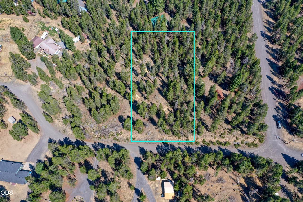 16230 Green Forest Road - Photo 1