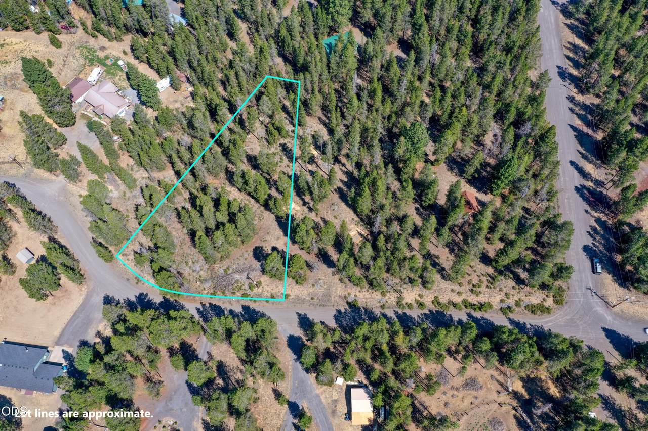 16212 Green Forest Road - Photo 1