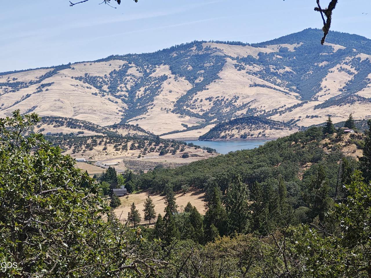  Neil Creek Road - Photo 1