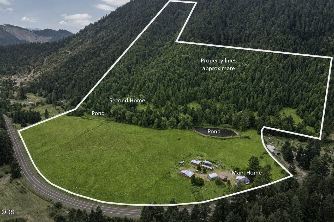 5586 Upper Cow Creek Road - Photo 1