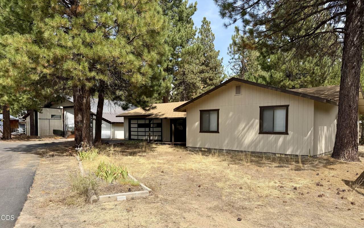 50842 Deer Forest Drive - Photo 1
