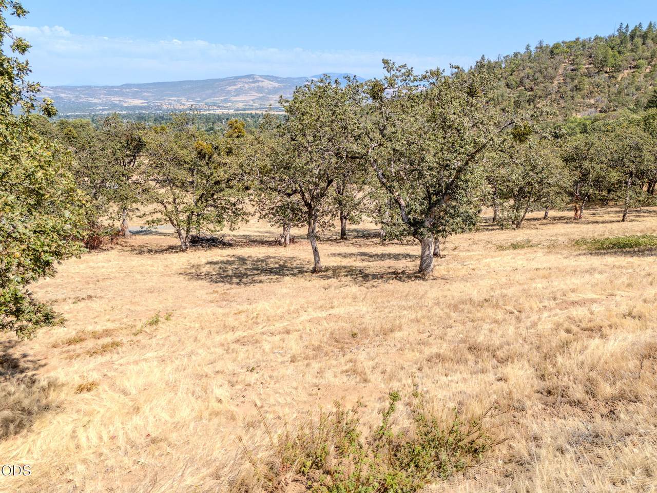 3567 Stage Road - Photo 1