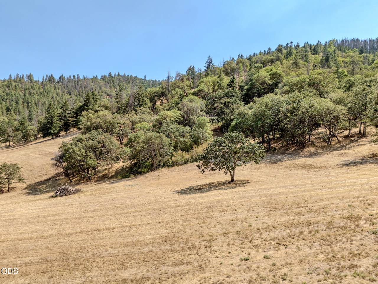 https://bt-photos.global.ssl.fastly.net/coar/1280_boomver_1_220227551-2.jpg