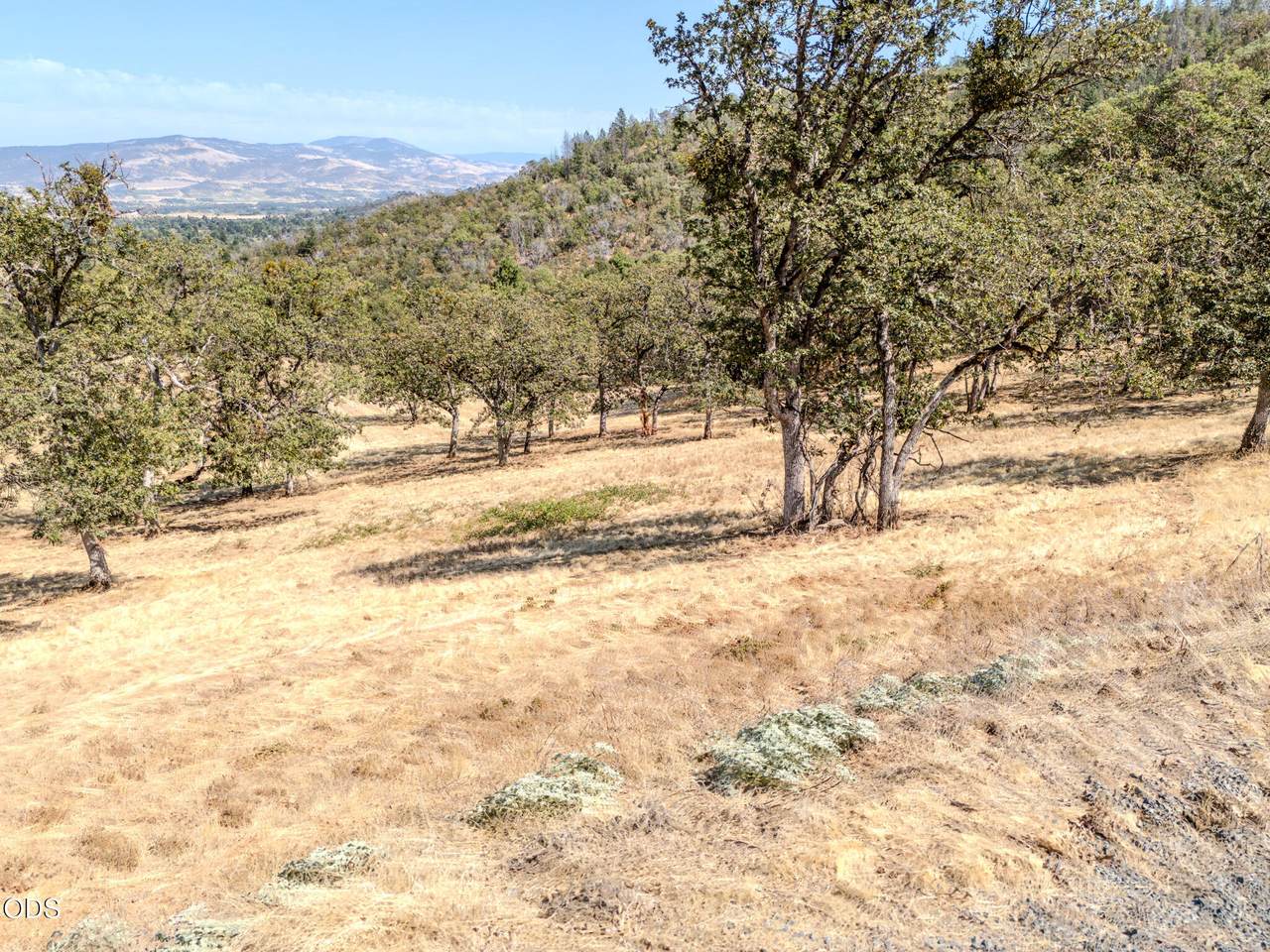 https://bt-photos.global.ssl.fastly.net/coar/1280_boomver_1_220227551-2.jpg