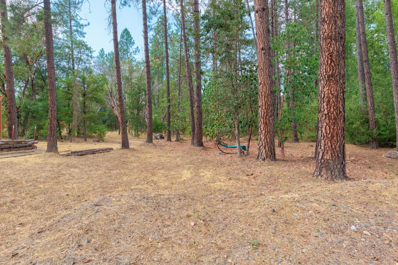 4529 Evans Creek Road - Photo 1