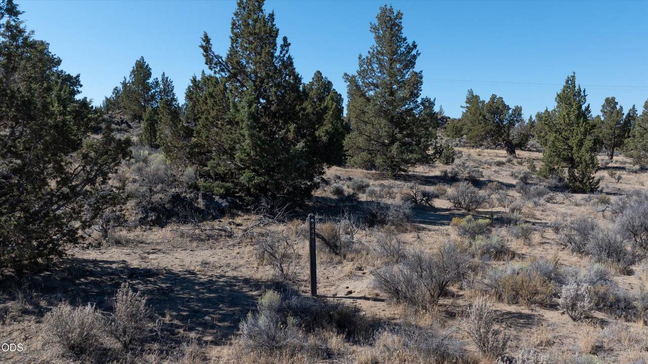  Chaparral Drive - Photo 1