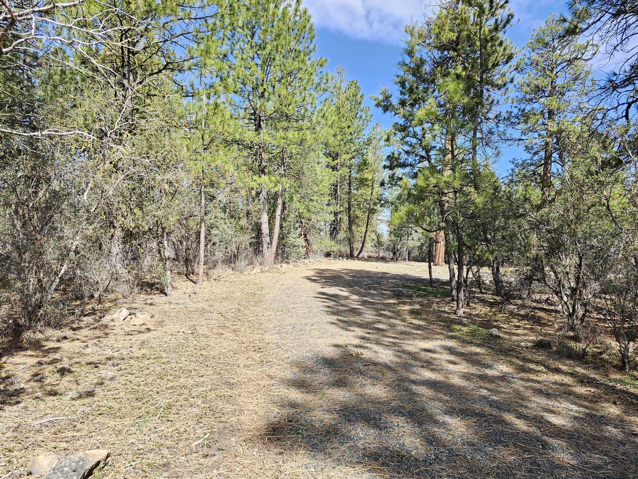 Wolverine Lane - Photo 1