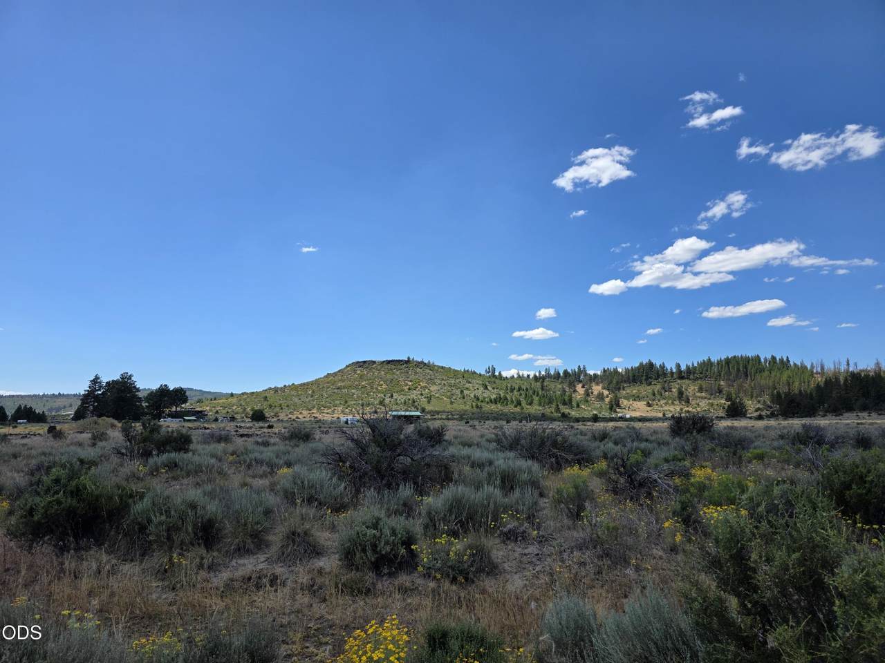  Nagleridge - Photo 1