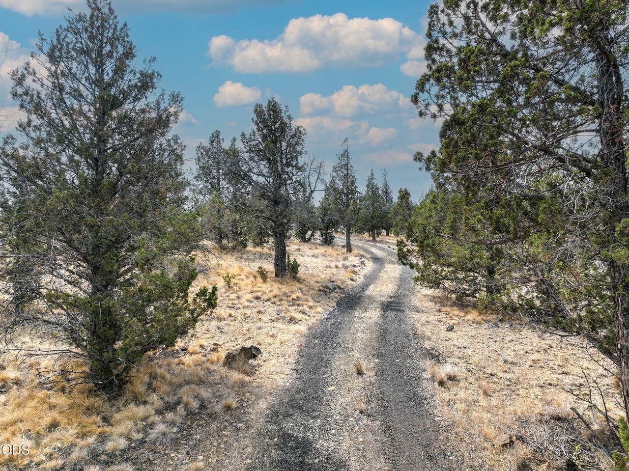 https://bt-photos.global.ssl.fastly.net/coar/1280_boomver_1_220227672-2.jpg