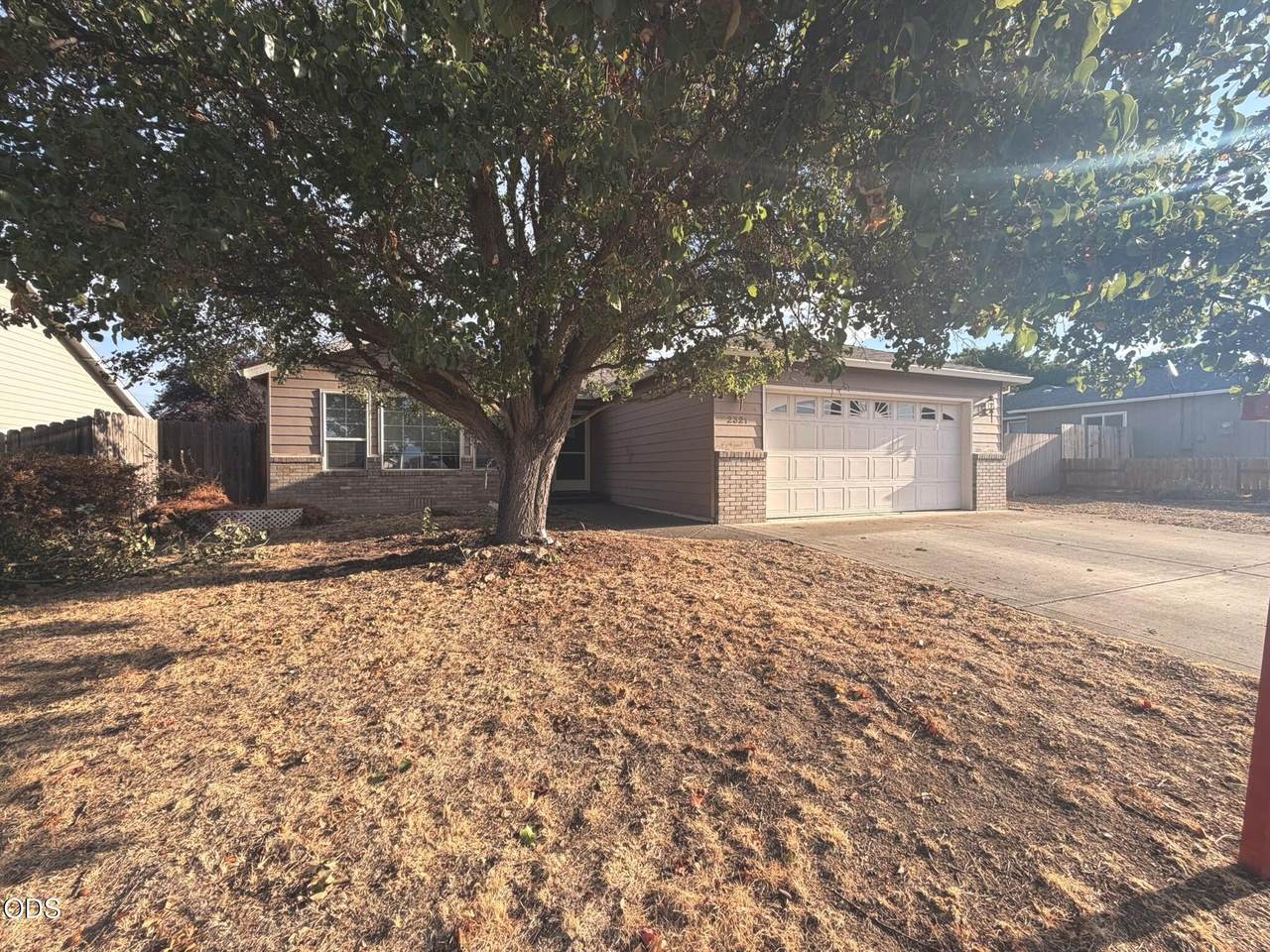 2321 Savannah Drive - Photo 1
