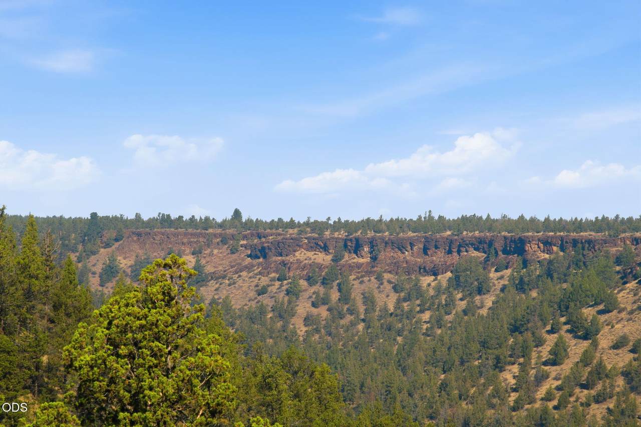 https://bt-photos.global.ssl.fastly.net/coar/1280_boomver_1_220228055-2.jpg