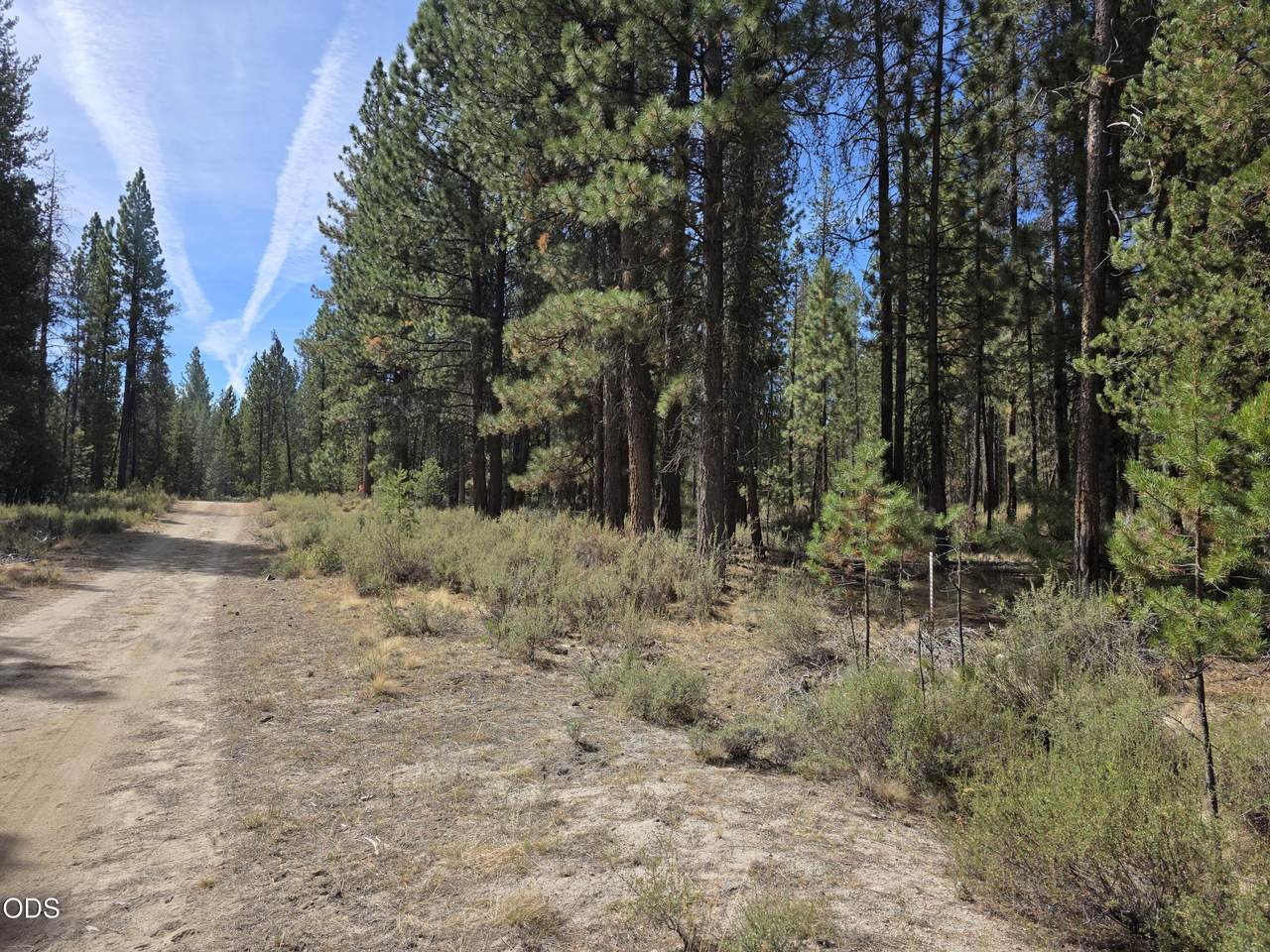 50429 Cascade Street - Photo 1