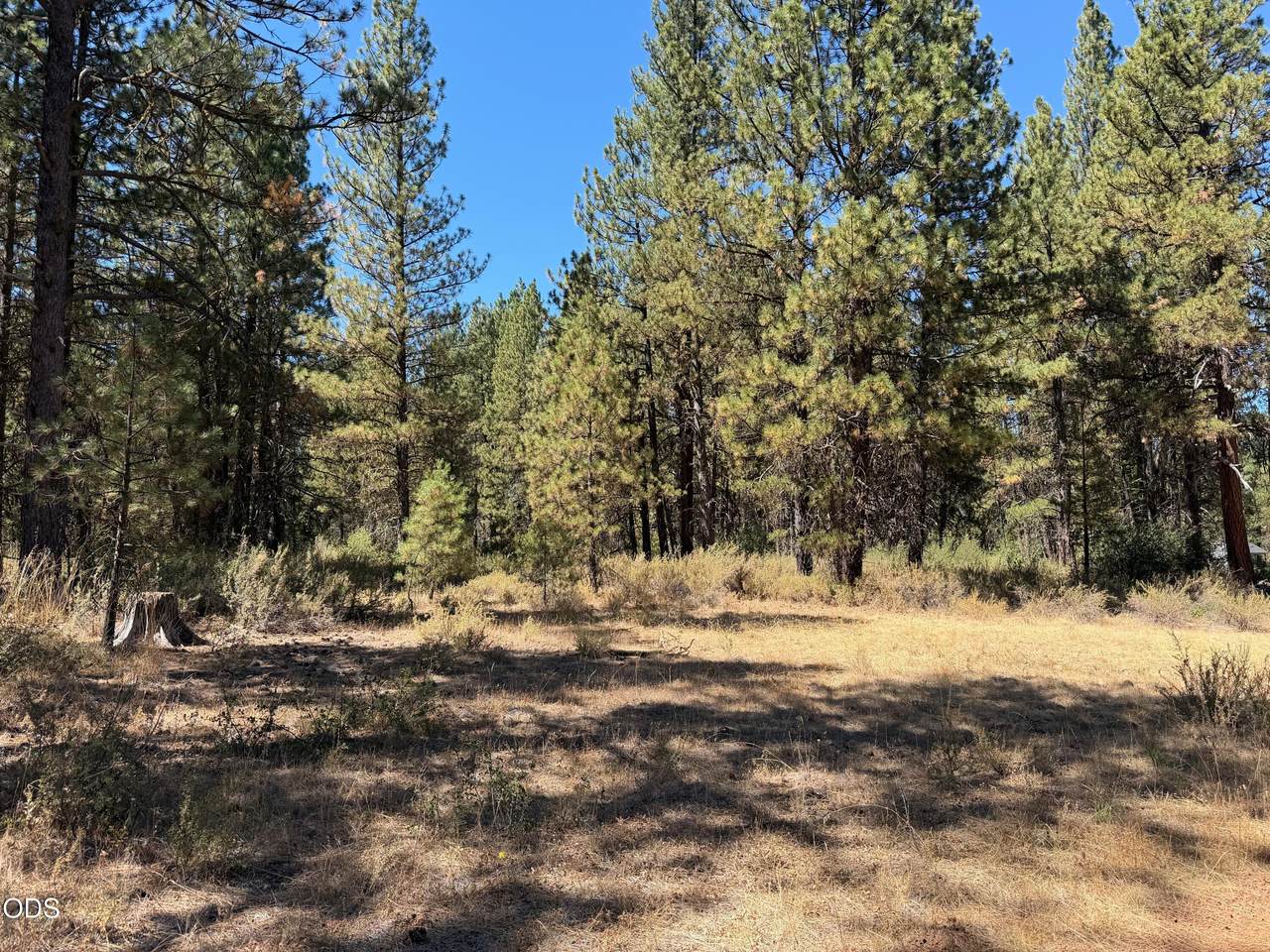 0 Mystic Way - Photo 1