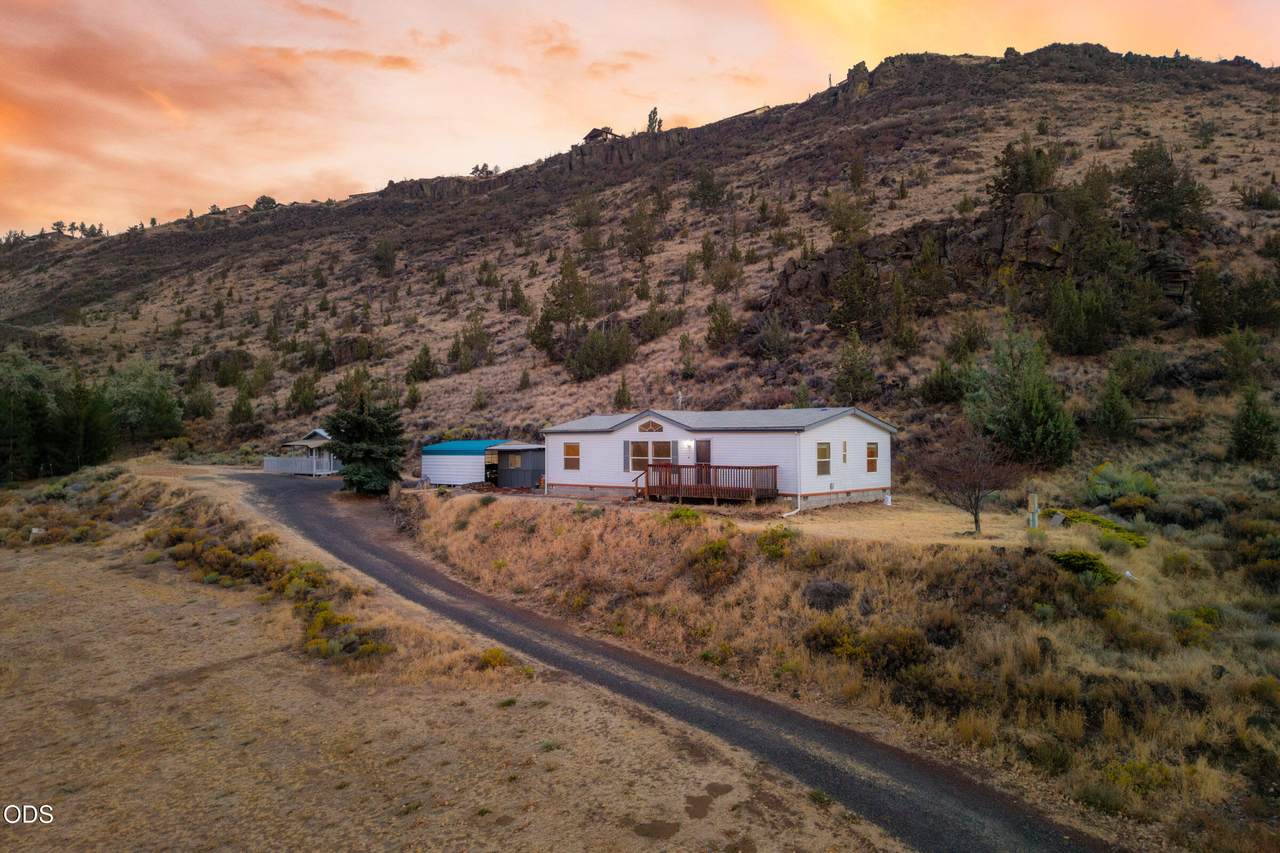 11756 Horny Hollow Trail - Photo 1