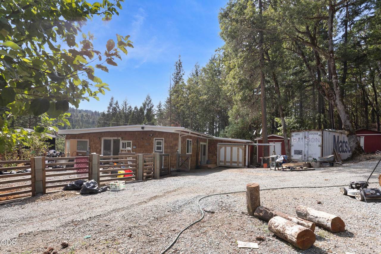 4172 Placer Road - Photo 1
