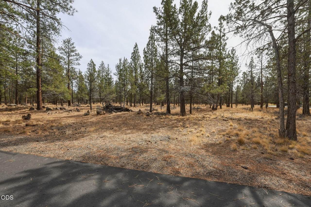 16541 Wren Lane - Photo 1