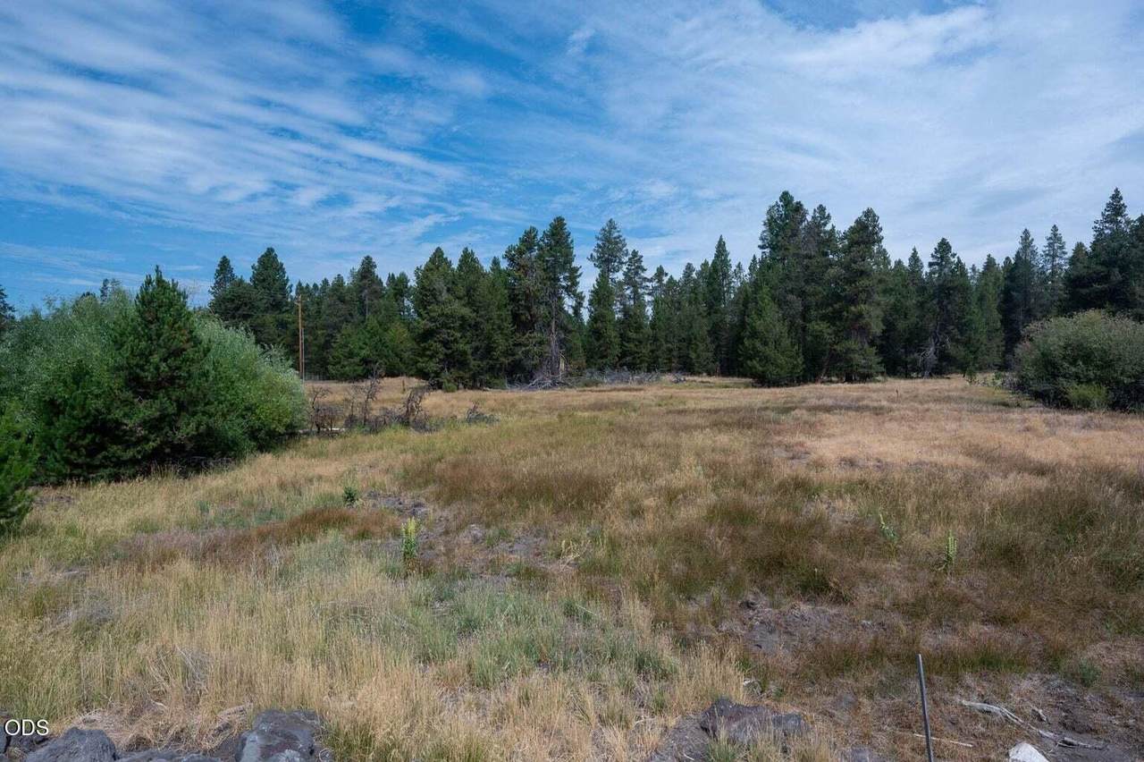 51590 Dorrance Meadow Road - Photo 1