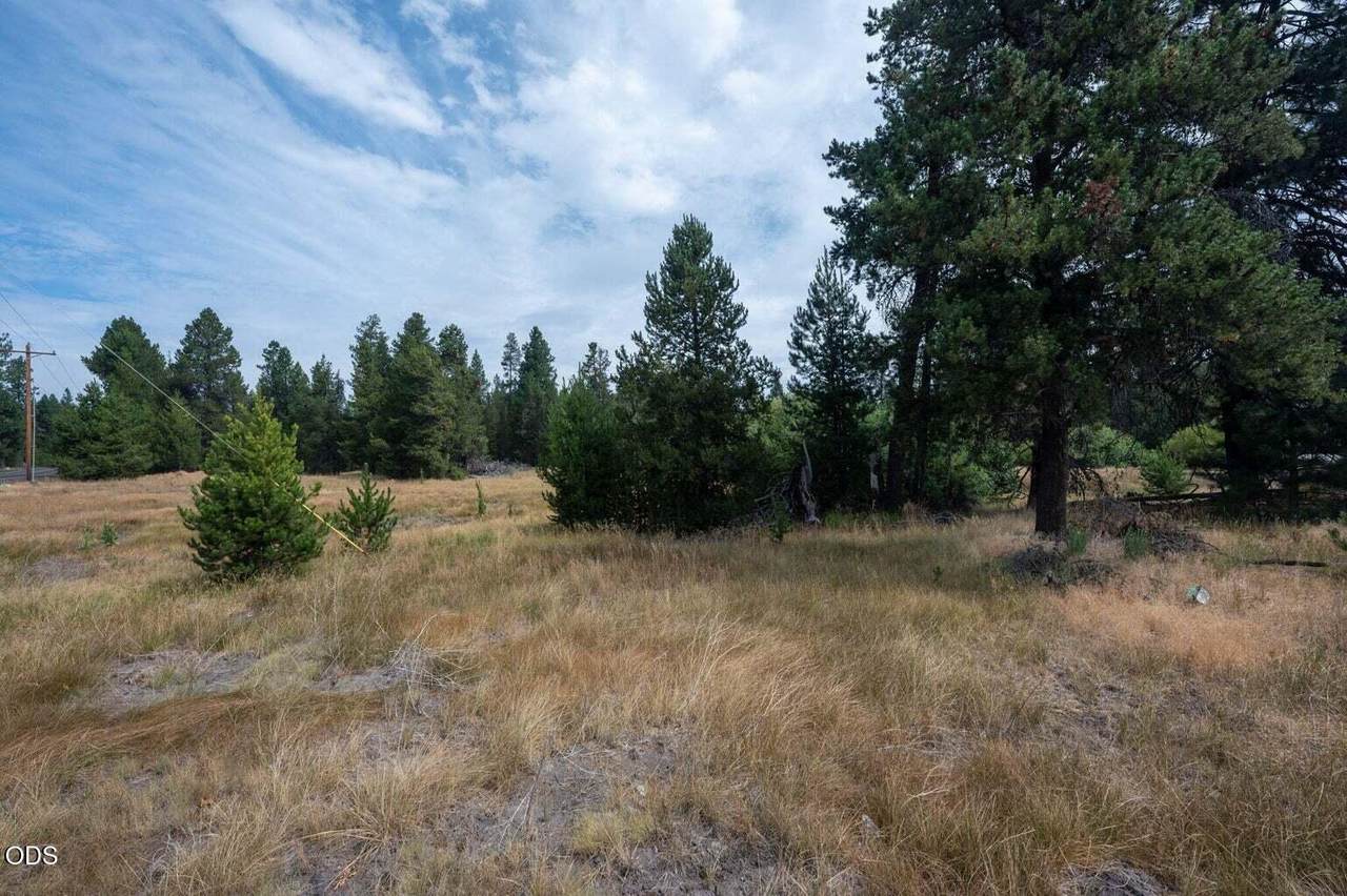 51596 Dorrance Meadow Road - Photo 1