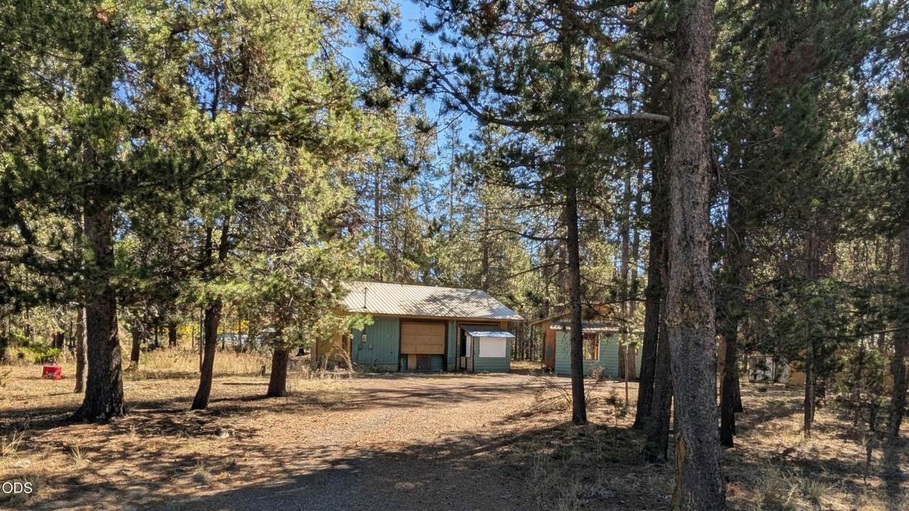 53362 Holtzclaw Road - Photo 1