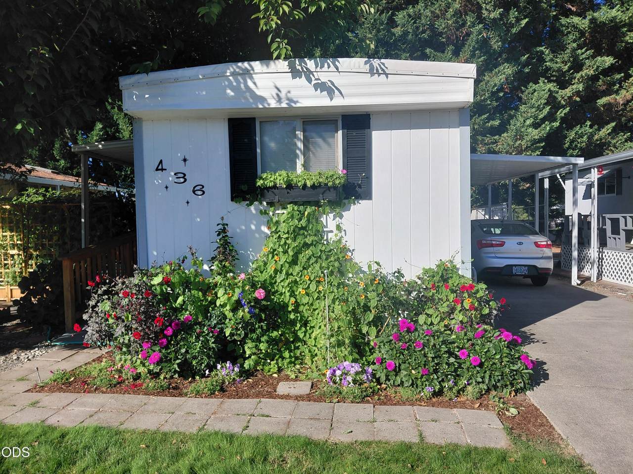 436 Ashwood Drive - Photo 1