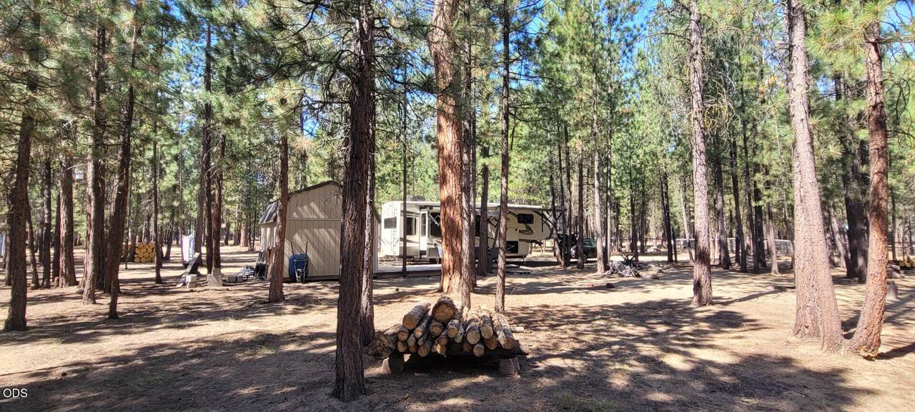 52117 Foxtail Road - Photo 1