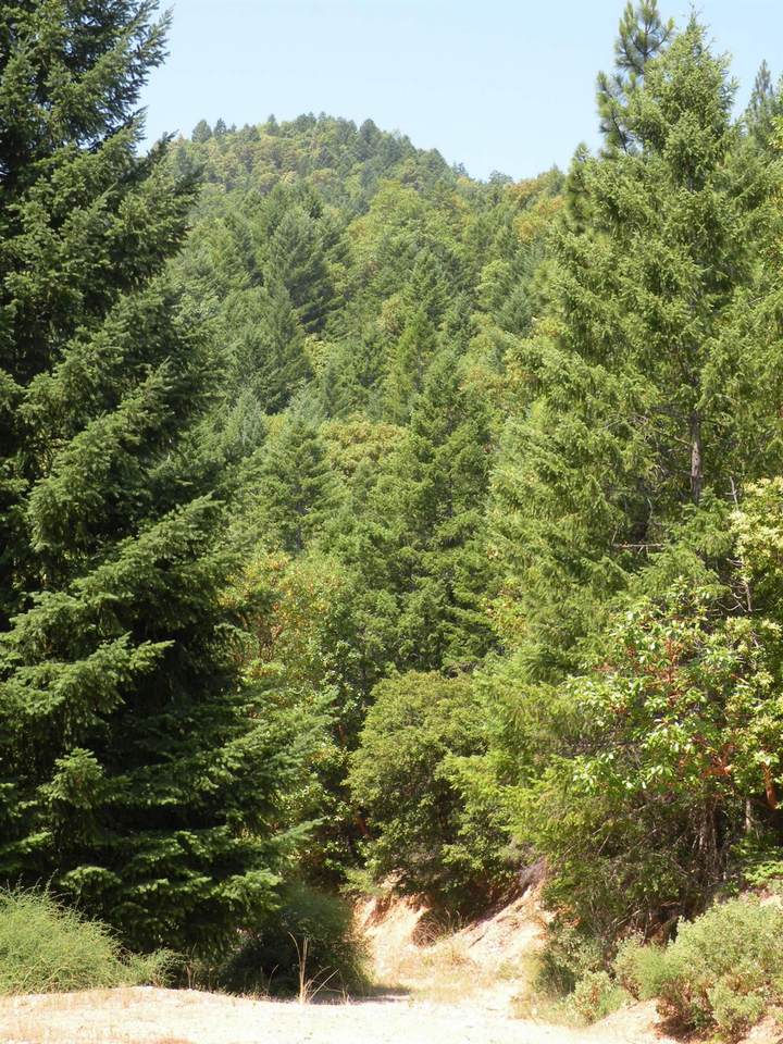 642 Marble Mountain Road - Photo 1