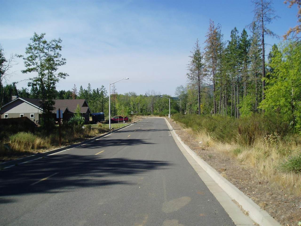 1308 Green Valley Drive - Photo 1