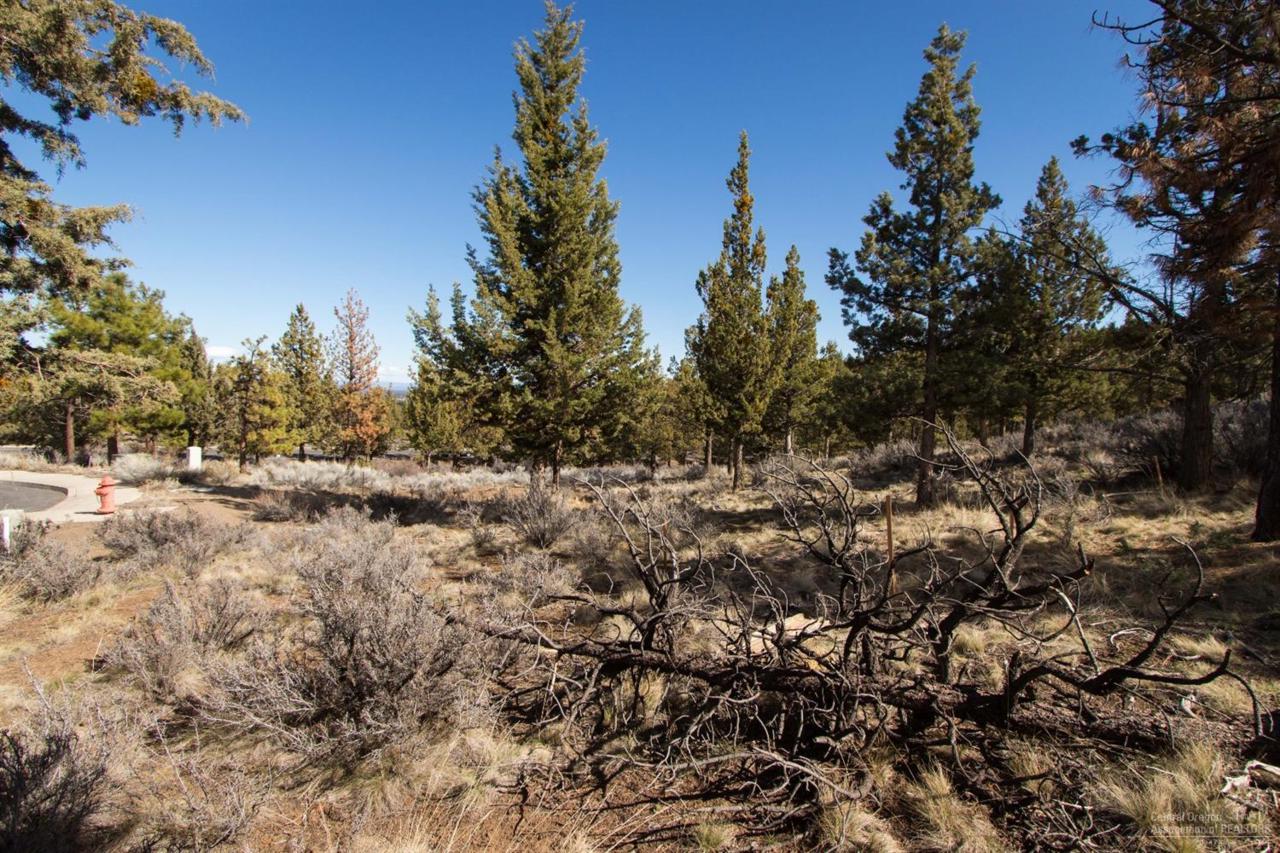 1947 NW Balitch Court, Bend, OR 97703 (MLS #201511459) :: Birtola Garmyn High Desert Realty