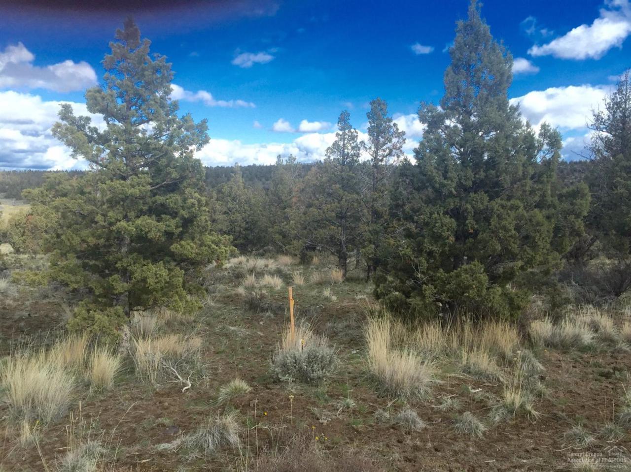 10897 SE Galveston Loop, Prineville, OR 97754 (MLS #201602277) :: Birtola Garmyn High Desert Realty