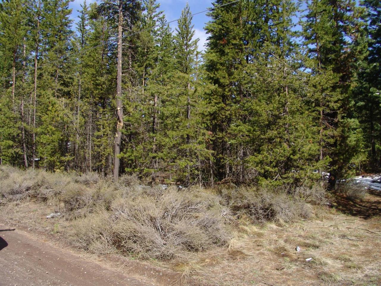 15680 Park Drive, La Pine, OR 97739 (MLS #201603271) :: Birtola Garmyn High Desert Realty