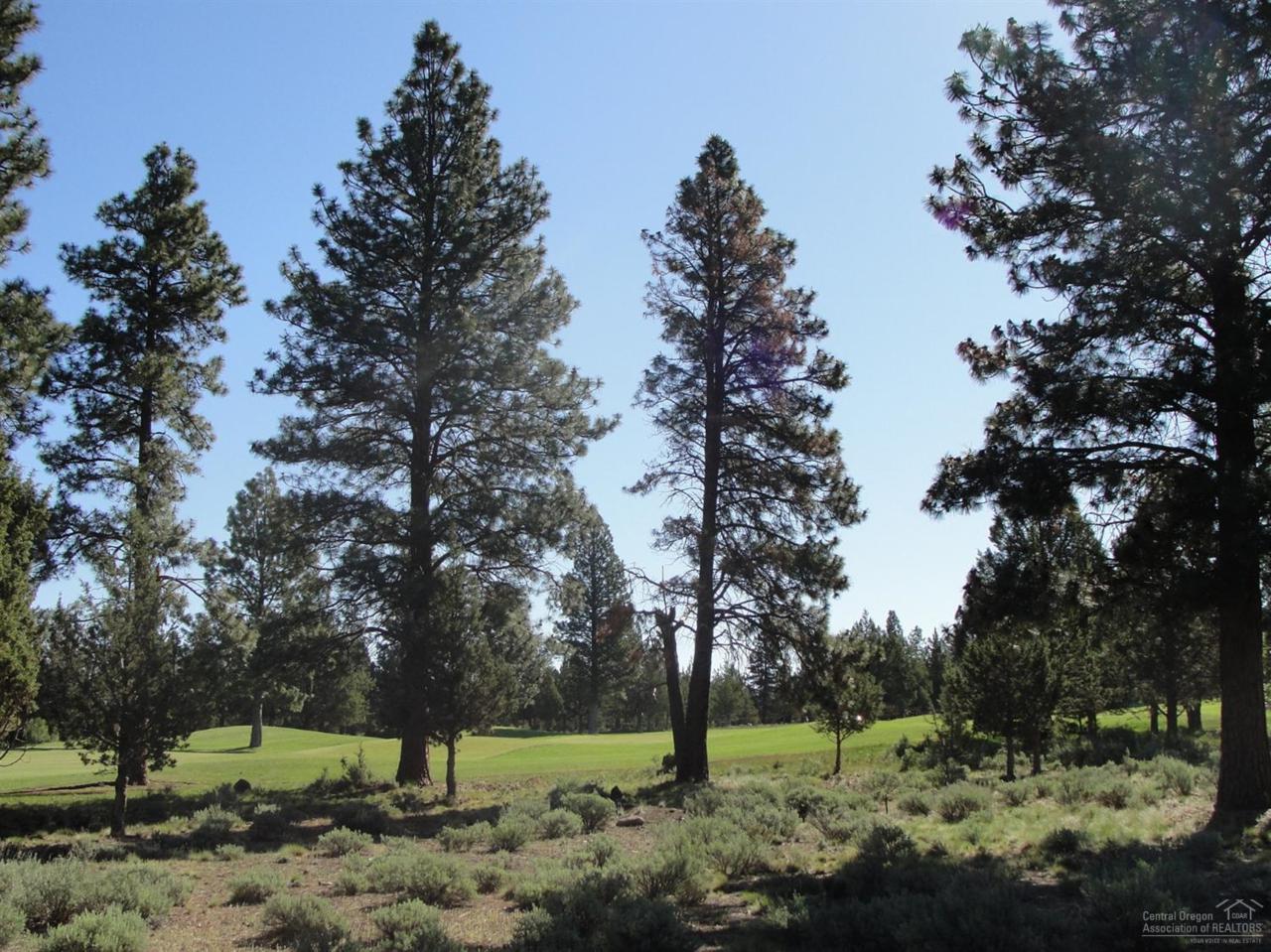 69130 Damsel Fly Court, Sisters, OR 97759 (MLS #201604403) :: Birtola Garmyn High Desert Realty