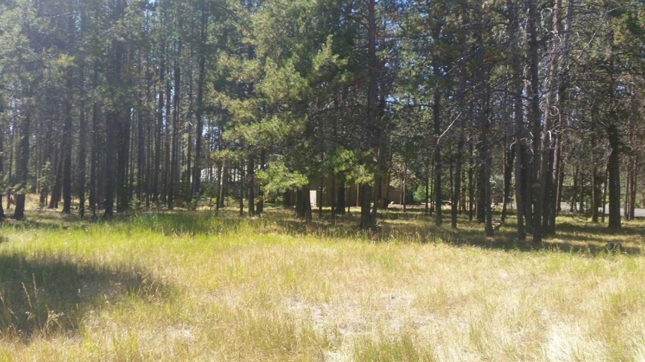 60 Stage Stop Drive, Bend, OR 97707 (MLS #201608590) :: Birtola Garmyn High Desert Realty