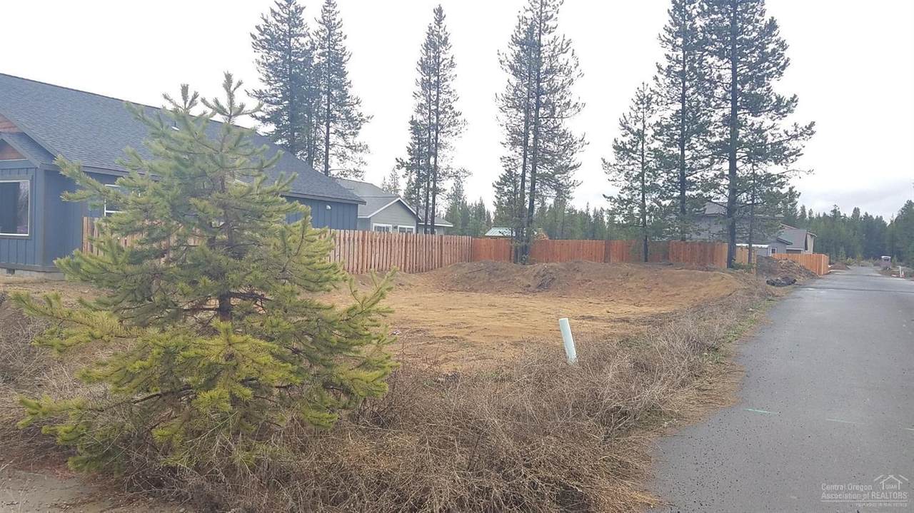 16415 Riley Drive - Photo 1