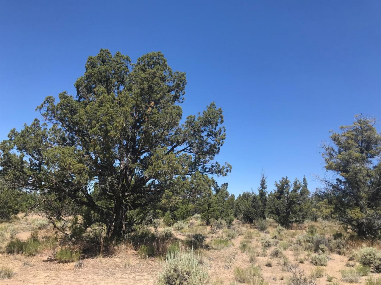 0 Teton Road - Photo 1