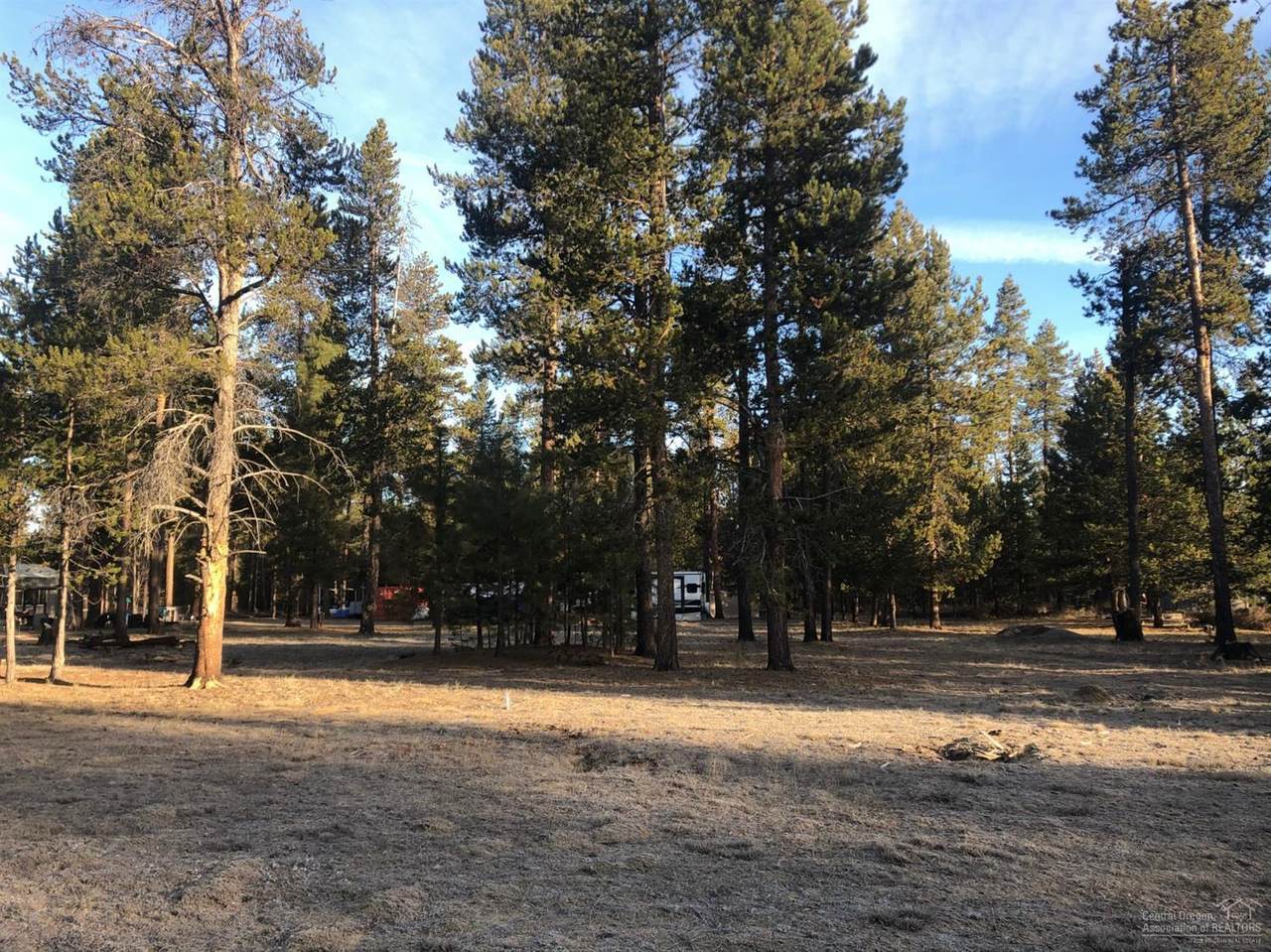 15656 Seed Road - Photo 1