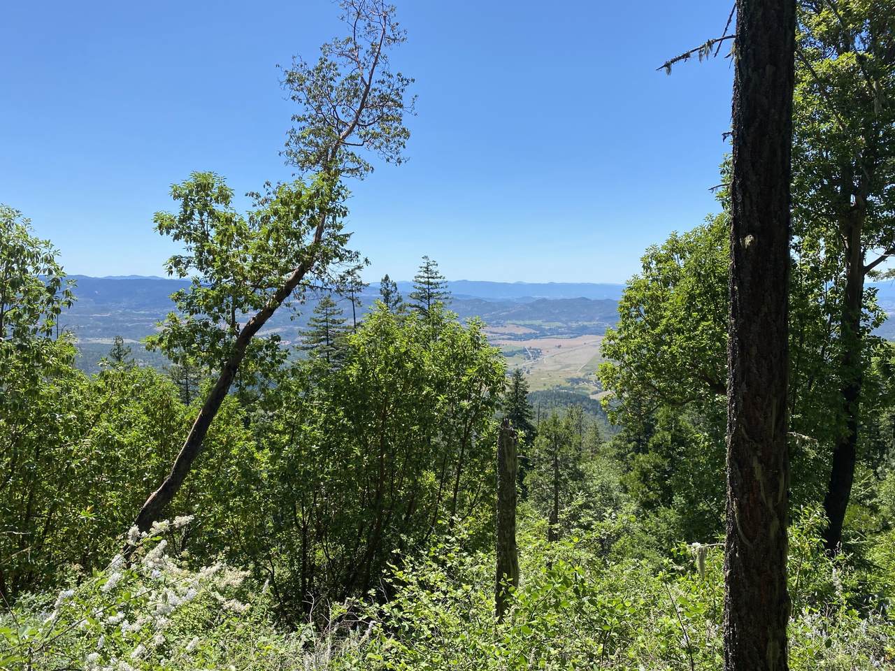 0 Wasson Canyon Road - Photo 1