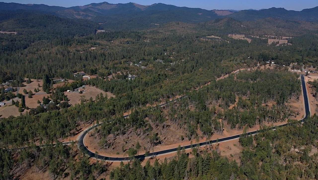 Ellison Loop - Photo 1