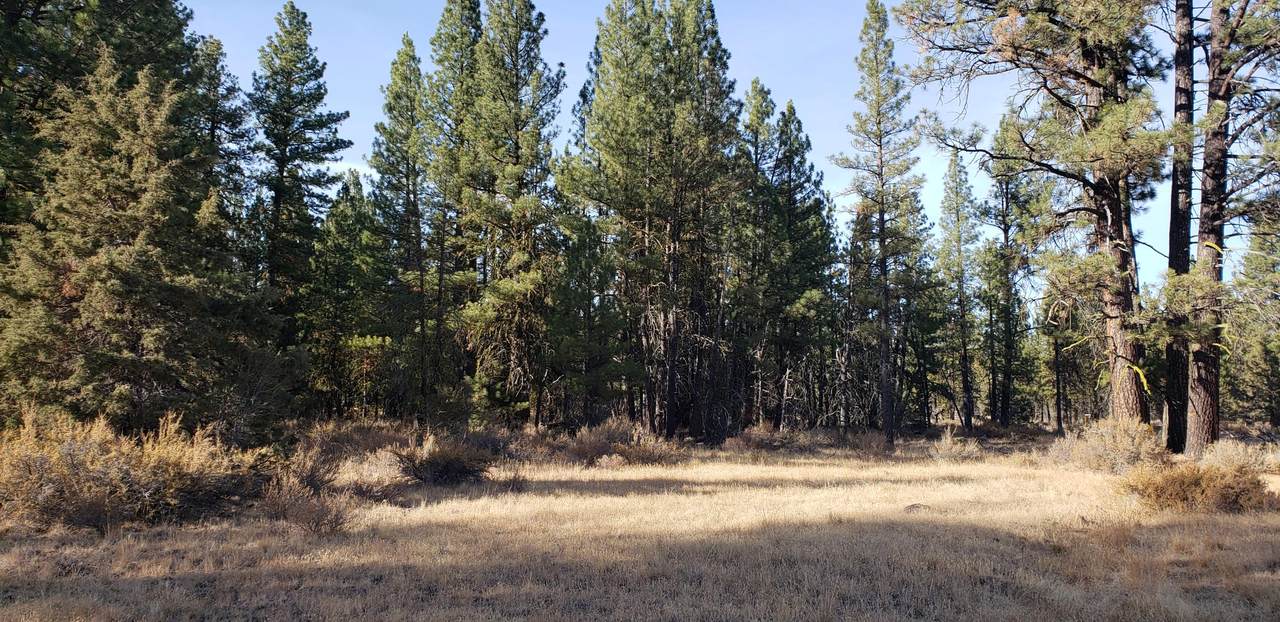 Lot 49 Kingfisher Drive - Photo 1