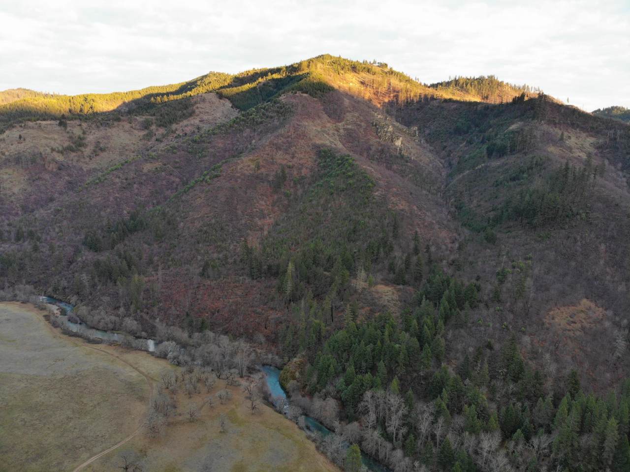 0 Elk Creek Road - Photo 1