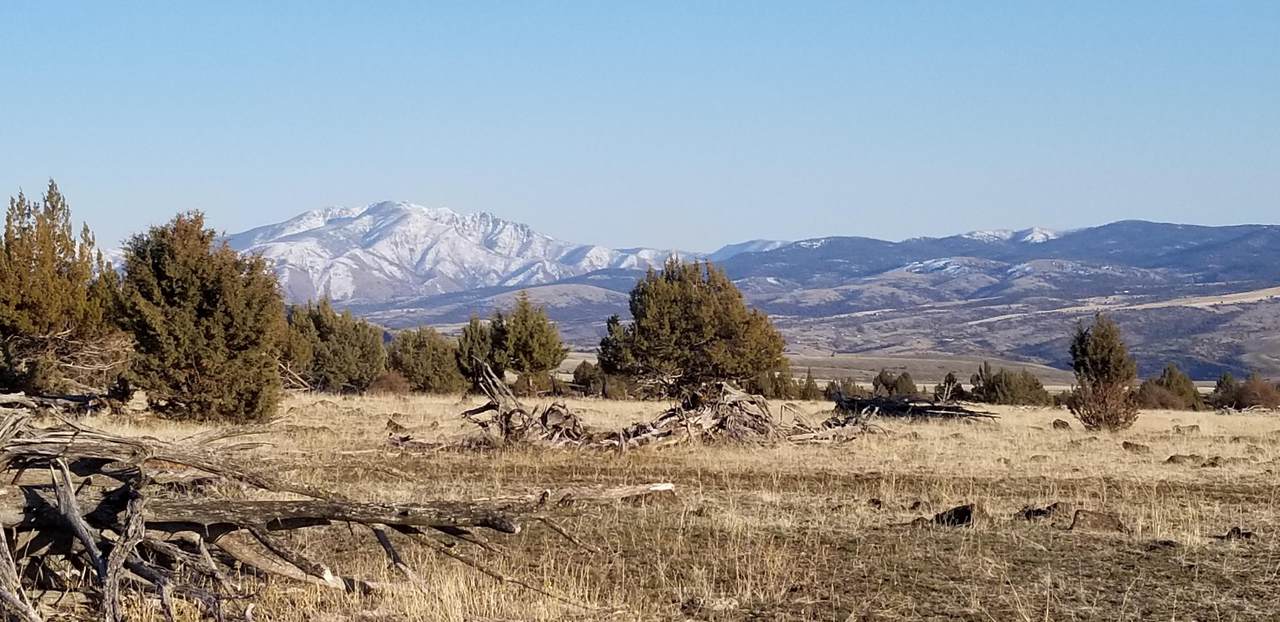 TL 600 Clark Creek Road - Photo 1