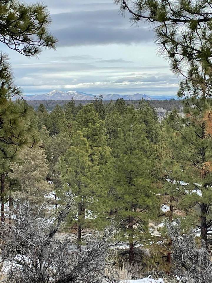 Lot 5 Vista View Loop - Photo 1